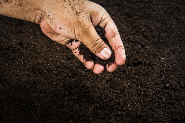 Hands dirty with clay soil background