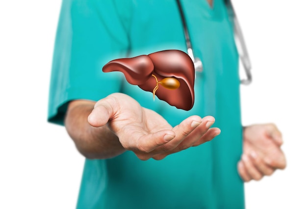 Hands of a doctor in uniform touch liver