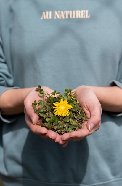 Hands embracing plant green grass and yellow flower growing in nature