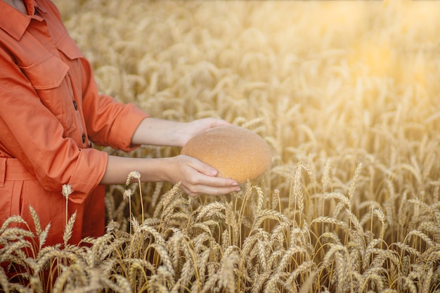 Hands of farmer holding bran bread freshly baked of raw healthy flour golden wheat ears