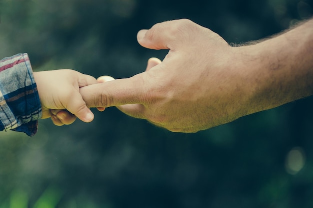 Hands of father and son