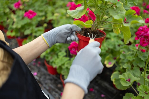 Hands of female florist weeds a flower pot with a small garden fork at the greenhouse