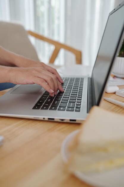 Hands of female freelancer typing on laptop