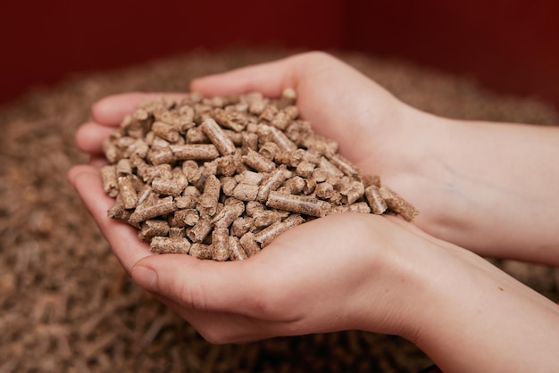 Hands full of wood pellets Concept of renewable energy for sustainable future