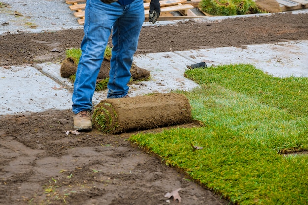 Photo hands in gardening laying green grass, installing on the lawn.