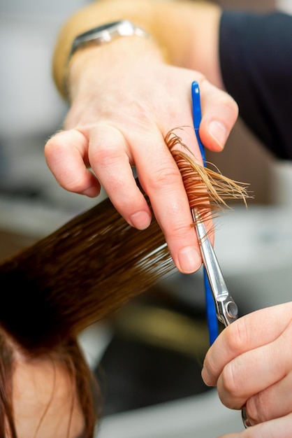 Hands of hairdresser hold hair strand between his fingers making haircut of long hair of the young woman with comb and scissors in hairdresser salon close up