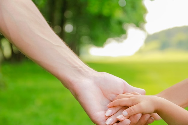 Hands Happy parents and child outdoors in the park