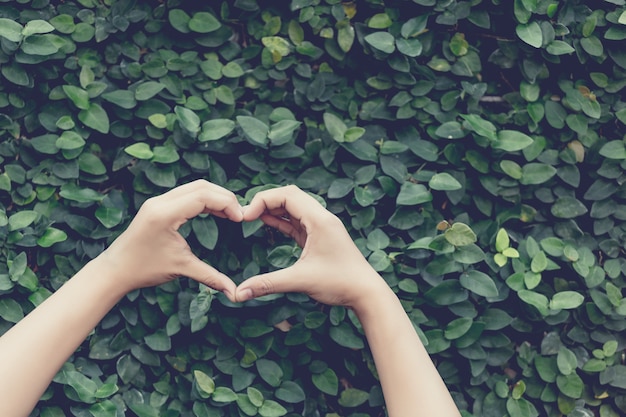 Hands heart shape on nature leave abstract background