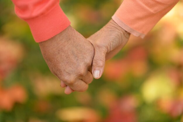 Hands held together on a background of nature