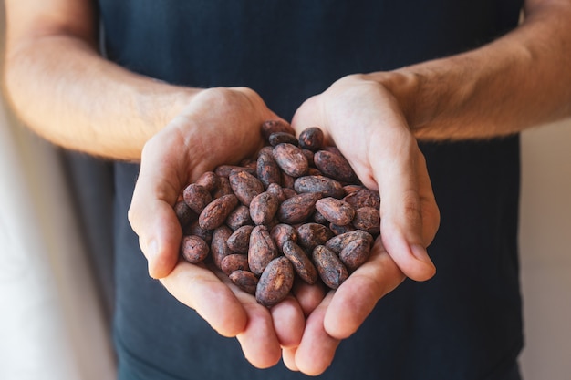 Photo hands hold cocoa beans.