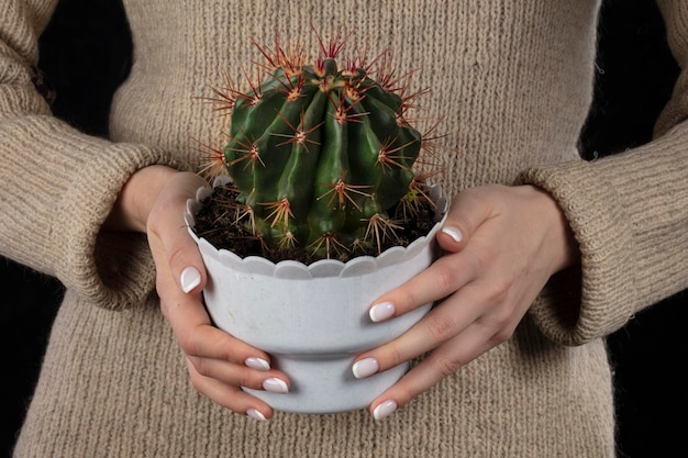 Hands hold a flower pot with a cactus