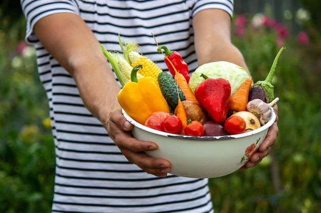 손에는 다양한 신선한 농산물이 포함된 큰 접시가 있습니다. 가을 수확과 건강한 유기농 식품 개념