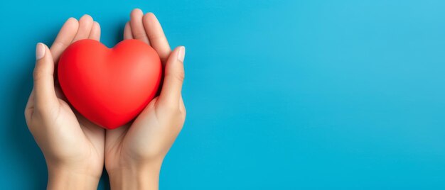 Hands hold a red heart on a isolated background