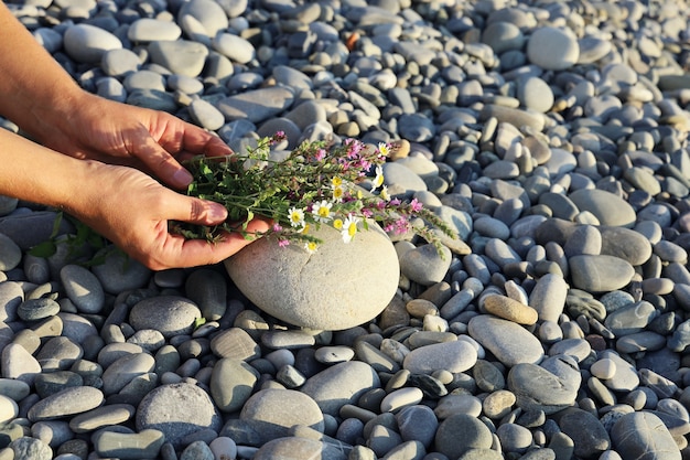 Photo hands hold small bouquet of wildflowers and lay it on pebbles surface