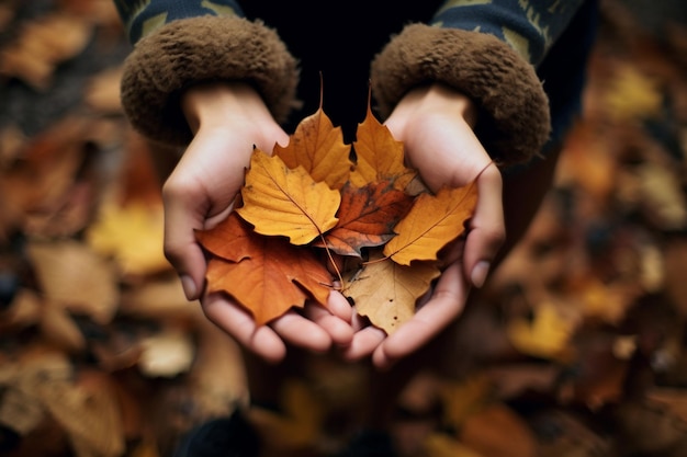 Hands holding autumn leaves