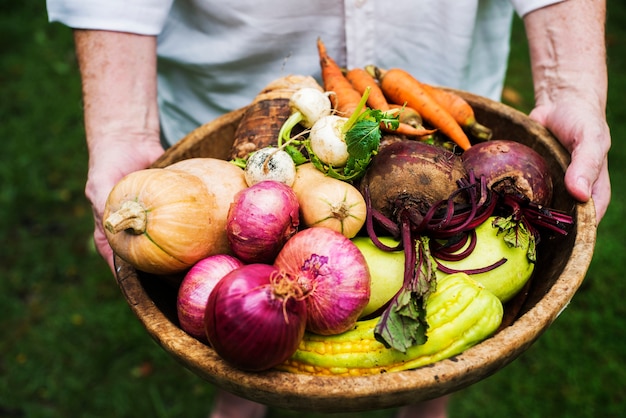 Hands holding basket of mixed veggie produce from farm