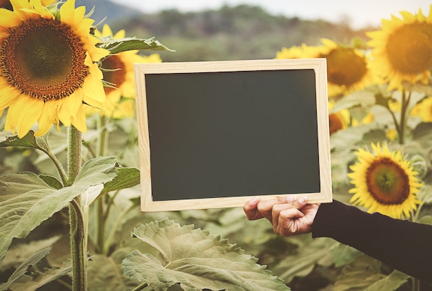 Foto mani che tengono lavagna su priorità bassa del girasole