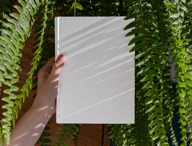 Hands holding book in hardcover mock up among green fern leaf plant