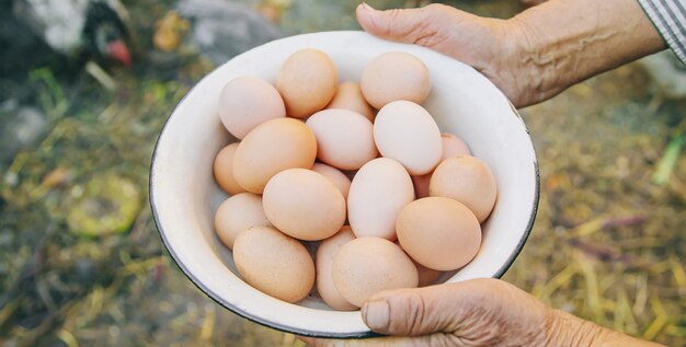 Hands holding a bowl with fresh eggs