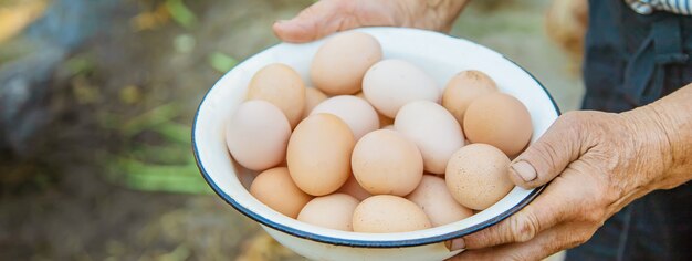 Hands holding a bowl with fresh eggs