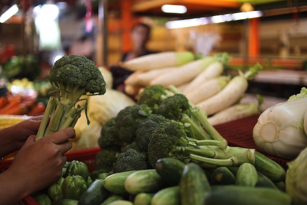 Hands holding broccoli in the fresh vegetables market, healthy lifestyle.