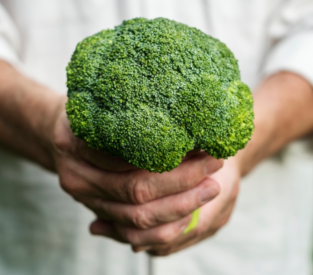 Hands holding broccoli organic produce from farm