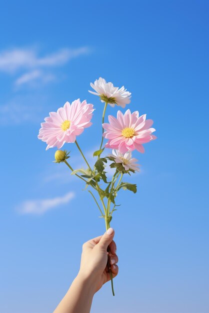 空の背景に孤立した花を握る手