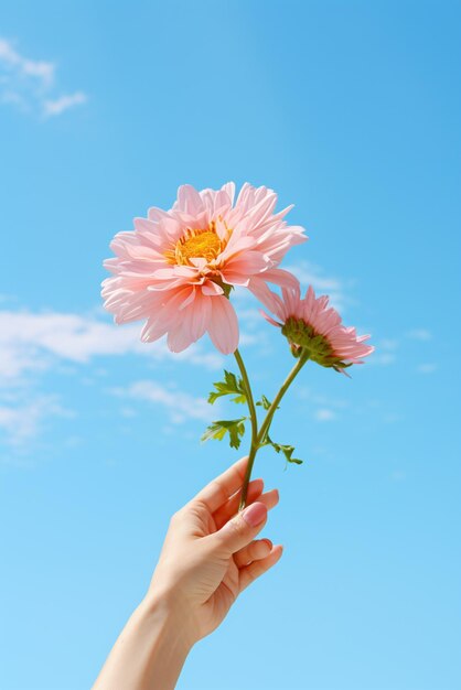 空の背景に孤立した花を握る手