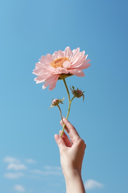 空の背景に孤立した花を握る手