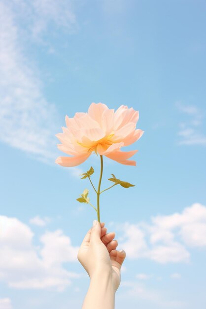 空の背景に孤立した花を握る手