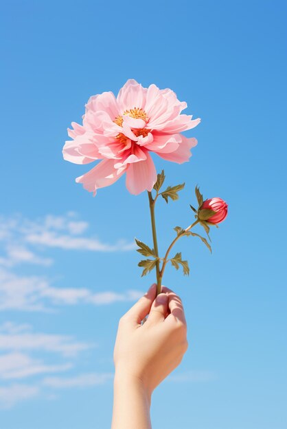 空の背景に孤立した花を握る手