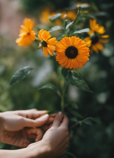 꽃을 들고 있는 손