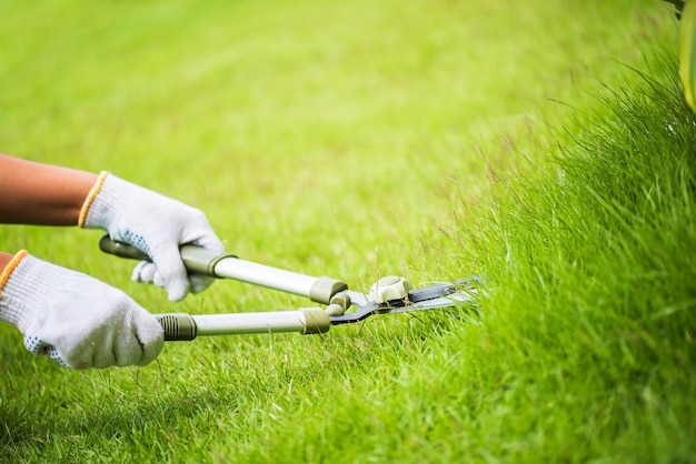 Photo hands holding the gardening scissors on green grass. gardening concept.