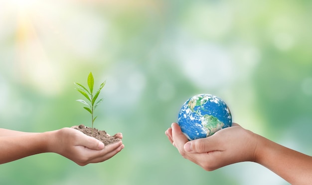 Hands holding global and seedling on blurred nature background plant growth and eco friendly concept Elements of this image furnished by NASA