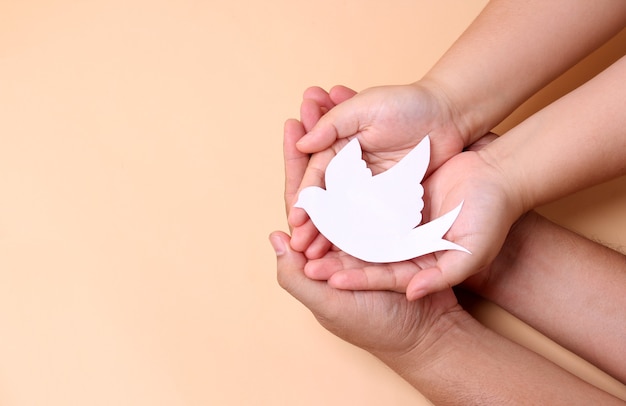 hands holding paper white bird, world peace day concept.