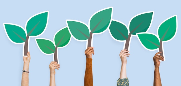 Photo hands holding plant leaves clipart