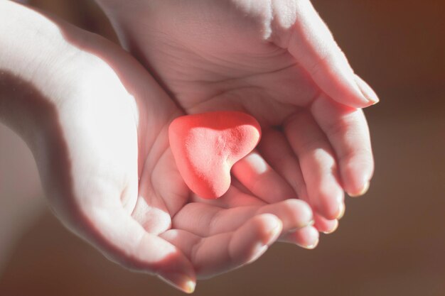 写真 赤いハートを持つ手医療愛と臓器提供のサポート家族保険と csr の概念世界心臓の日世界健康の日国家臓器提供者の日