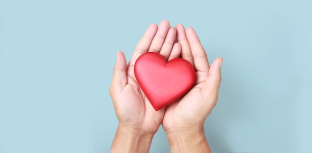 Hands holding a red heart heart health donation concepts