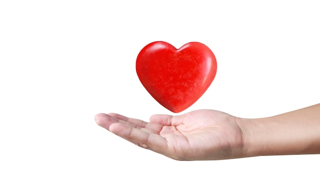 Hands holding a red heart. heart health. and donation concepts