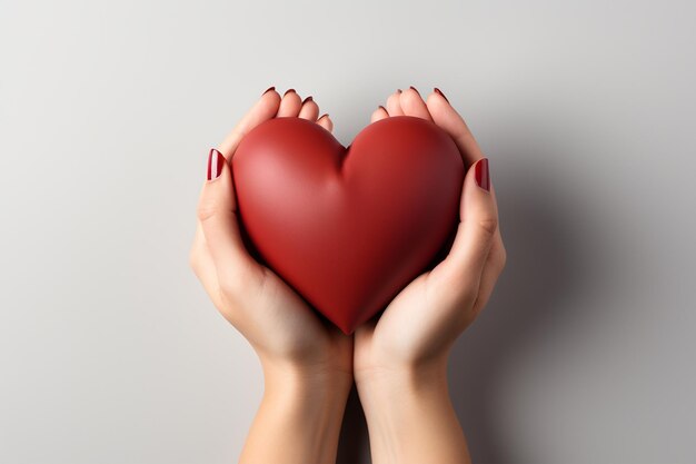 hands holding a red heart valentines day concept in front of white background