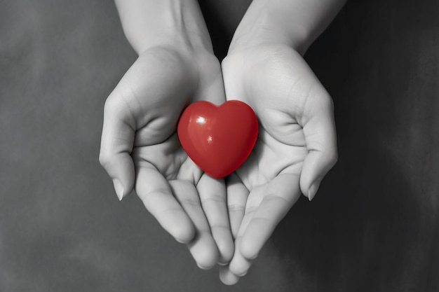 A hands holding a red heart with white background