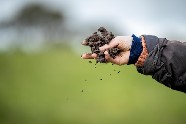 Hands holding soil on a farm in australia