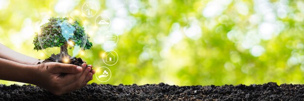 Hands holding soil and miniature tree