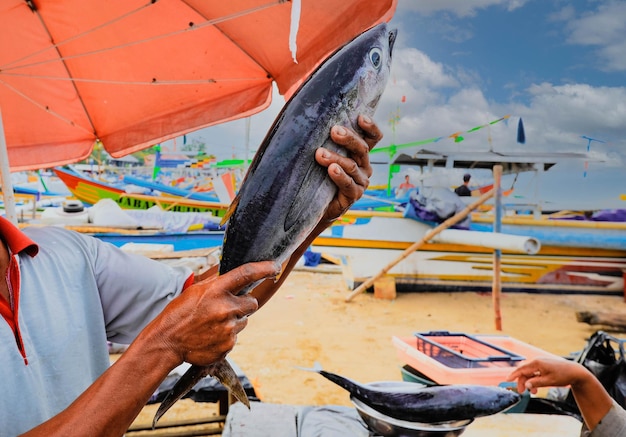 Руки держат тунца на рынке морепродуктов на пляже Кедонганан Пассер Икан Джимбаран