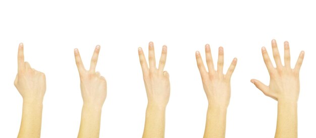 Hands isolated on a white