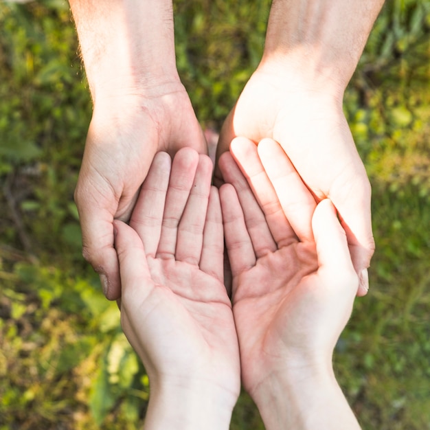 Photo hands keeping above green grass