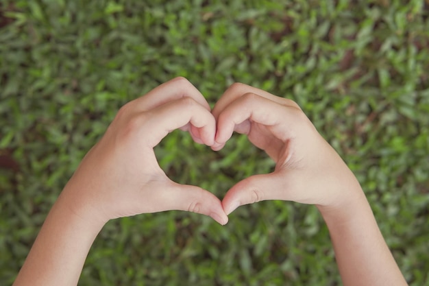 写真 緑の草の上にハートの形を作る手