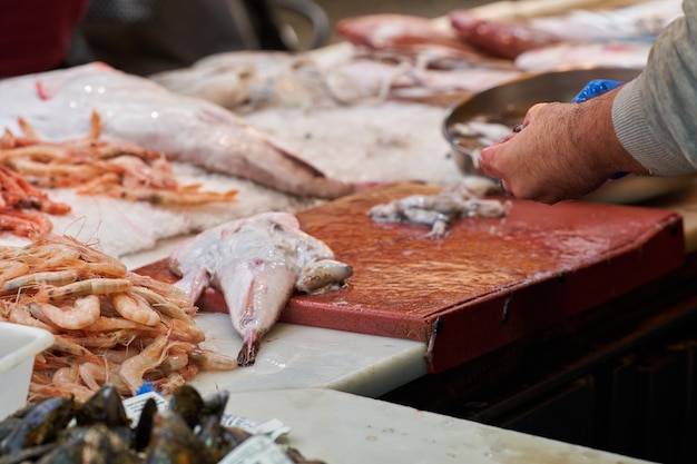 Hands of man cleaning fish in the market