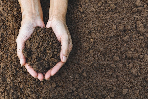 Hands of man holding soil