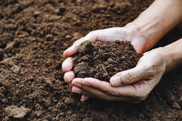 Hands of man holding soil